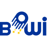 BOWI: Boosting Widening Digital Innovation Hubs
