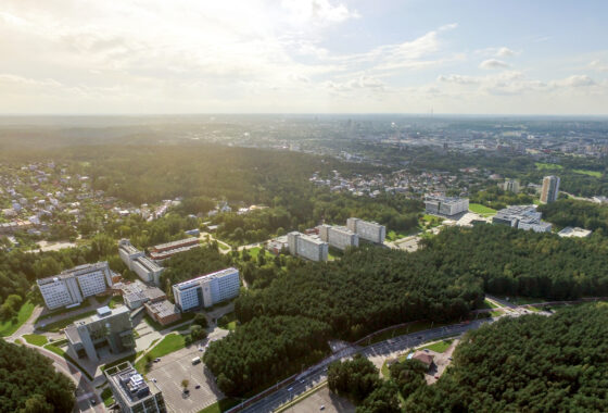 Kuriame gražesnę kaiminystę: planuojami sklypo tvarkymo darbai